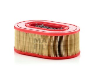 C25124 Air Filter