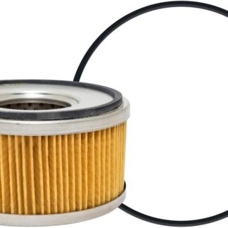 101 DAHL Fuel Element