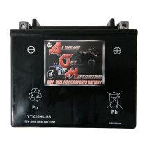 20HLBS Powersports Battery 6 War. AGM